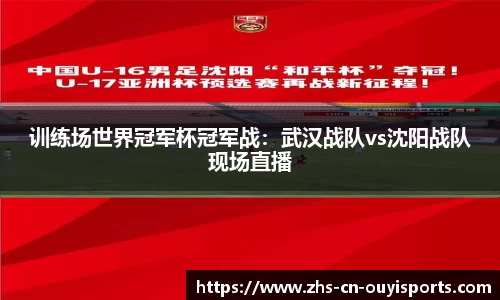训练场世界冠军杯冠军战:武汉战队vs沈阳战队现场直播