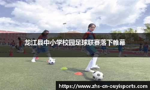 龙江县中小学校园足球联赛落下帷幕
